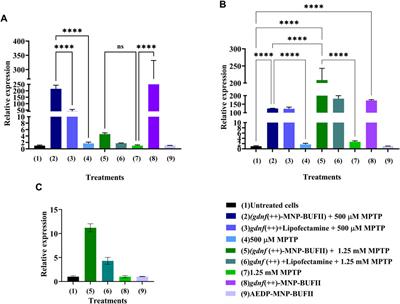 Assessment of CRISPRa-mediated gdnf overexpression in an In vitro Parkinson’s disease model